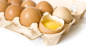 Container of eggs